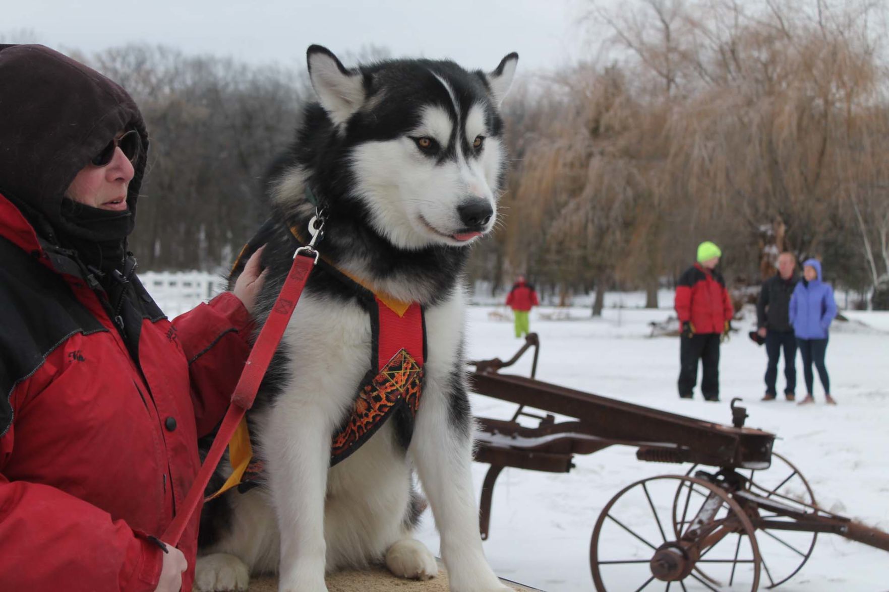 Cold weather enthusiasts